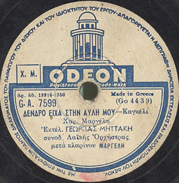 GA-7599 ΔΕΝΔΡΟ ΕΙΧΑ ΣΤΗΝ ΑΥΛΗ ΜΟΥ