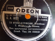 GA-8022 ΤΑ ΦΥΛΛΑ ΚΙΤΡΙΝΙΣΑΝΕ