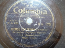 DG-0172 Ο ΔΡΟΜΟΣ ΤΩΝ ΠΕΥΚΩΝ
