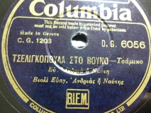 DG-6056 ΤΣΕΛΙΓΚΟΠΟΥΛΑ ΣΤΟ ΒΟΥΝΟ