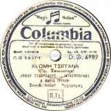 DG-6989 ΧΛΩΜΗ ΤΣΙΓΓΑΝΑ