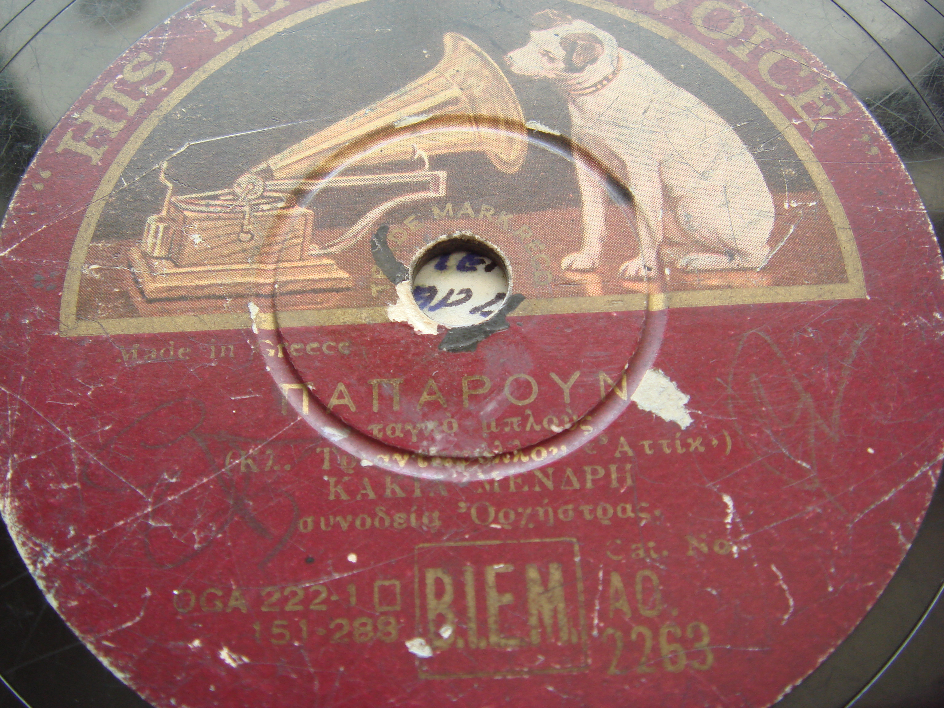 AO-2263 paparouna.JPG